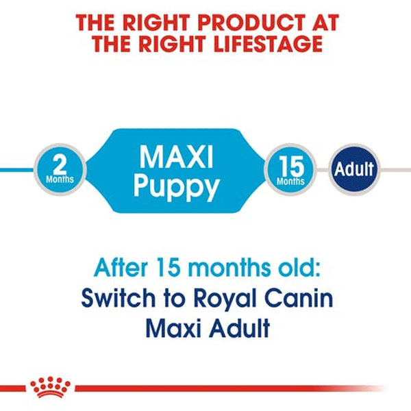 غذای خشک توله سگ نژاد بزرگ مکسی پاپی رویال کنین - ROYAL CANIN Maxi Puppy