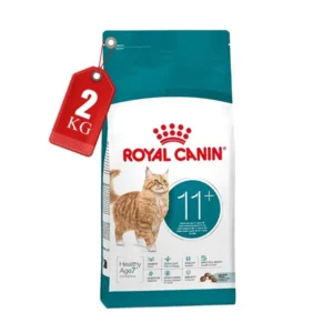 گربه 11 رویال کنین
