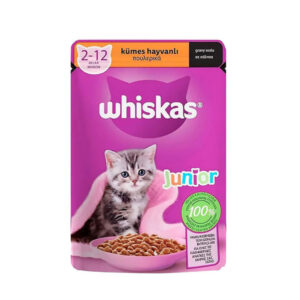 پوچ کیتن طیور ویسکاس