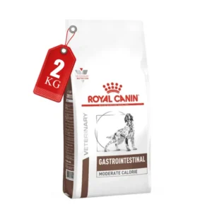 گسترو سگ مدریت رویال